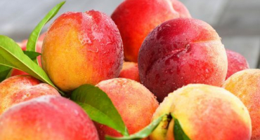 Jednoduchý recept na výrobu broskvové marmelády s citronem na zimu